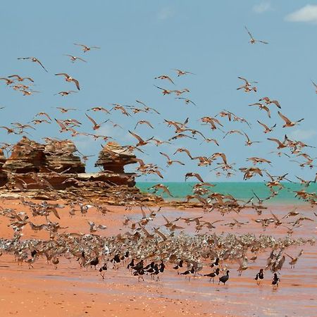 Broome Bird Observatory Bagian luar foto